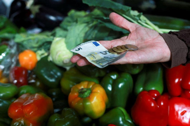 Euro Plummets to 17-Month Low | Urgent FX Risk for Cross-Border Sellers