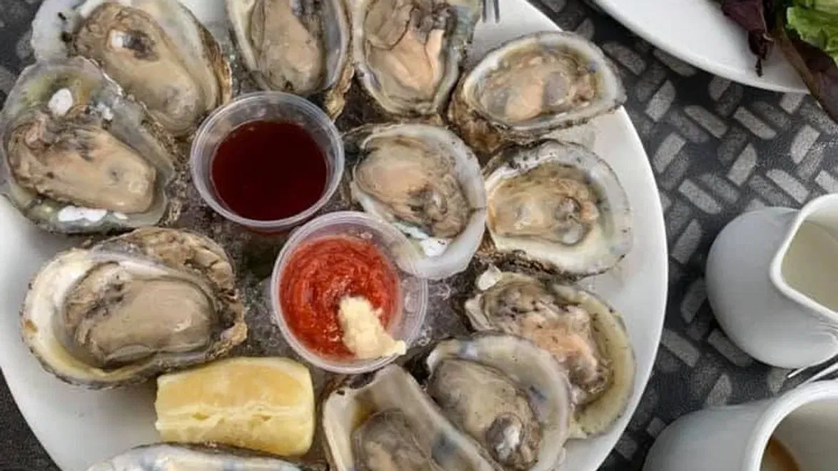 FDA Oyster Salmonella Recall | Food Safety Signals for Sellers